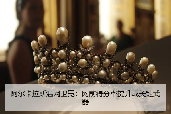 a-er-ka-la-si-wen-wang-wei-mian-wang-qian-de-fen-lv-ti-sheng-cheng-guan-jian-wu-qi-2-499.jpg