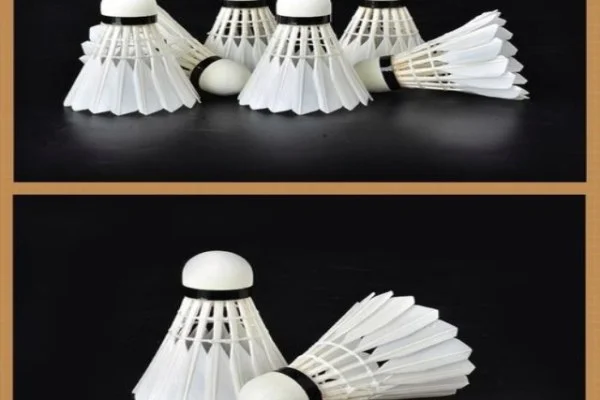 世界五子棋锦标赛曹冬男子组冲冠之路与日本选手技术心态全面分析